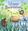 Moses in the Bulrushes  (pack of 5) - VPK